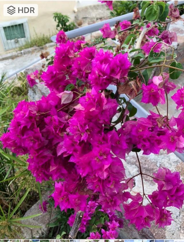 Veranda Blue - Poros Poros Town ภายนอก รูปภาพ
