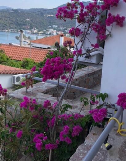 Veranda Blue - Poros Poros Town ภายนอก รูปภาพ